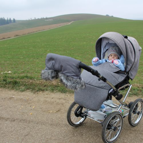 Trip with a Stroller