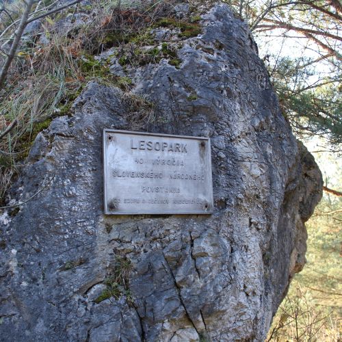 Príroda lieči: Lesopark v Hrboltovej