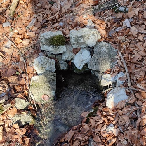 Prameň pod studničkou v dolinke Uhlisko, Ružomberok – Vlkolínec