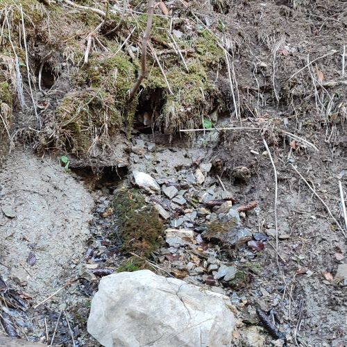 Spring by trail Medvedia Cesta (Bear’s Path), panel 5, Ružomberok