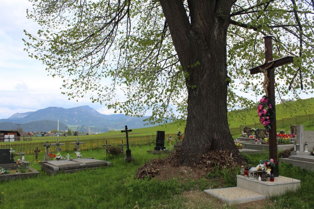 Kríž na zemianskom cintoríne, Ludrová 05