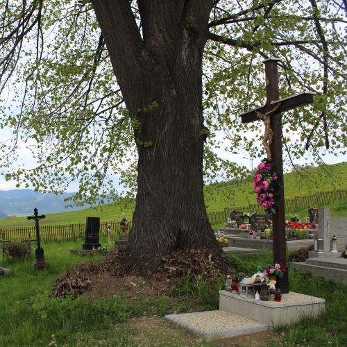 Kríž na zemianskom cintoríne, Ludrová