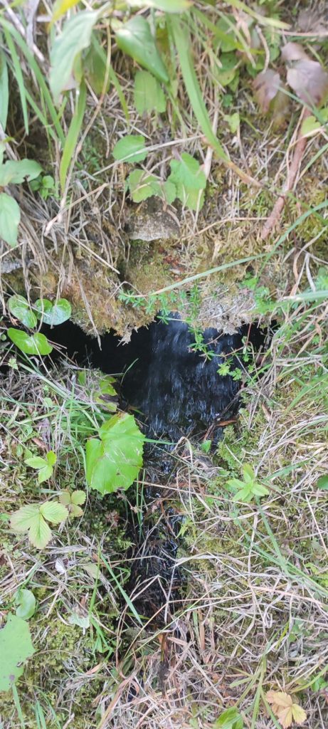 Prepad vodojemu Šimiace, Černová 05