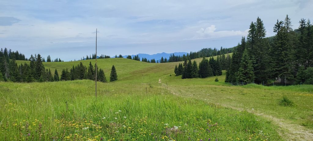 026 Močidlo (Smrekovica) 06