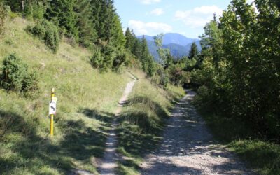 Biely Potok – Vlkolínec – Hrabovo