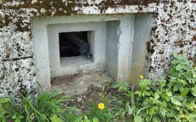 055 Bunker pri CykloKorytničke
